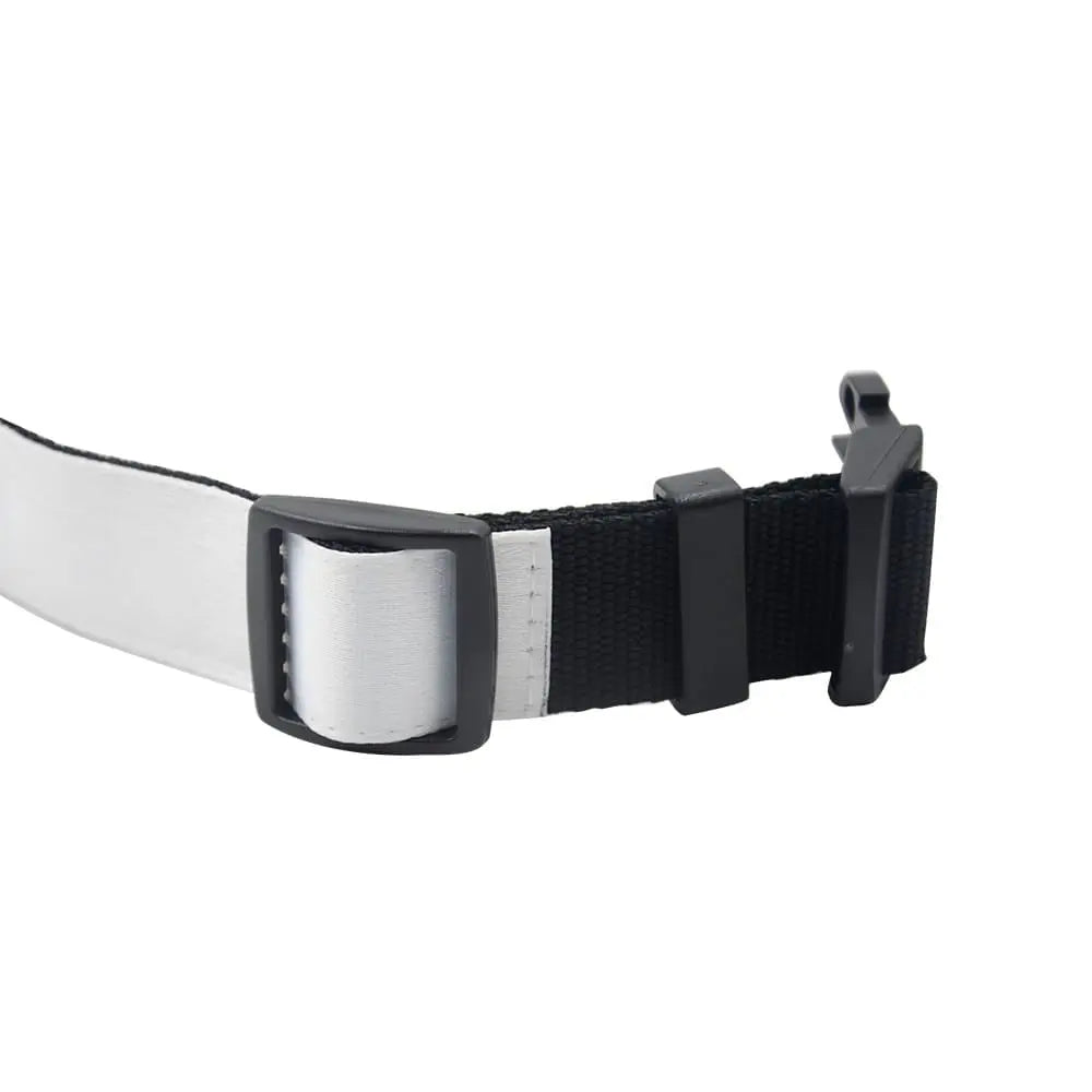 Custom Dog Collars