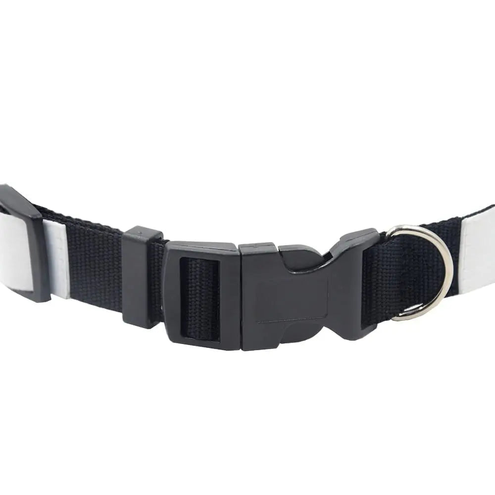 Custom Dog Collars