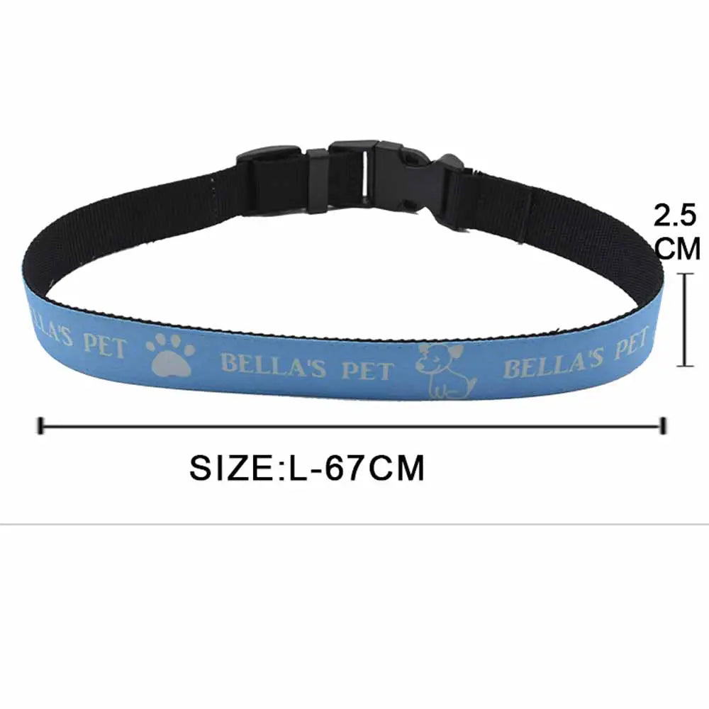 Custom Dog Collars