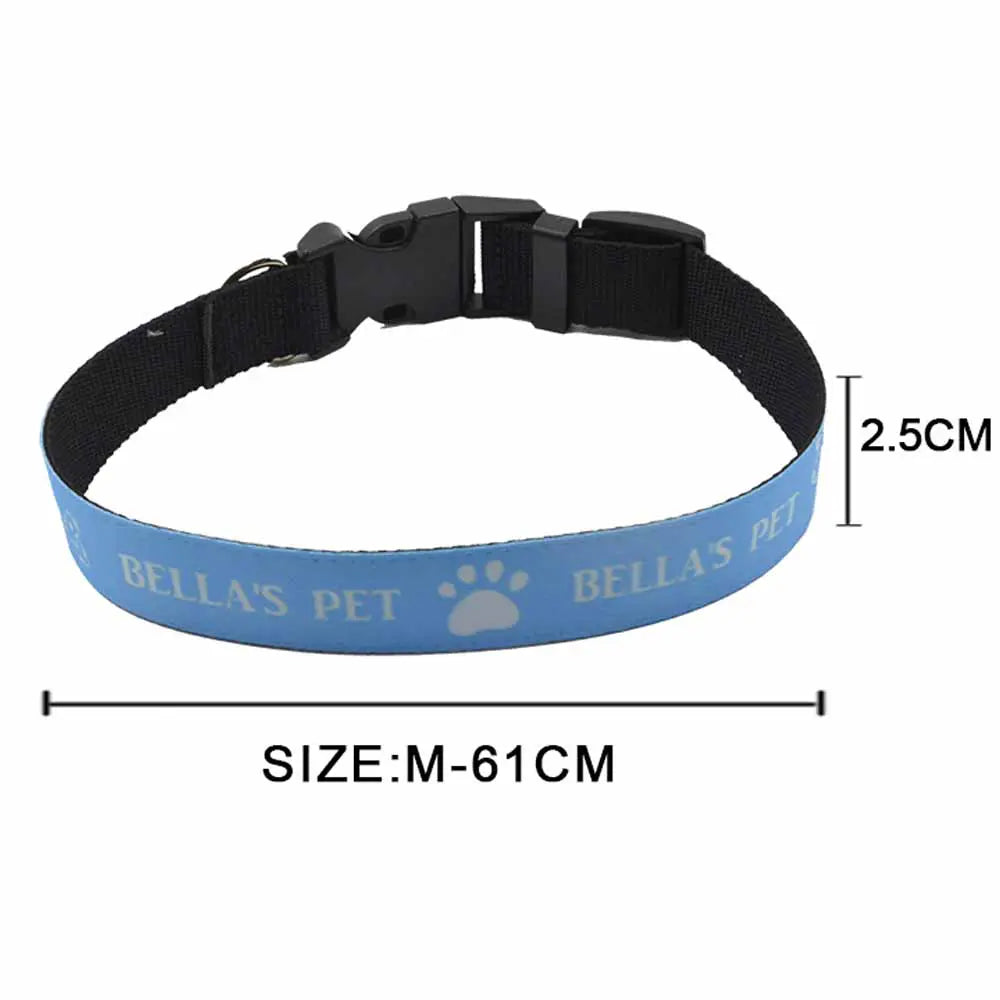 Custom Dog Collars